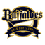 Orix Buffaloes