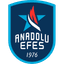 Anadolu Efes SK
