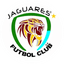 Jaguares de Córdoba