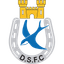 Dungannon Swifts