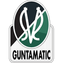 SV Ried