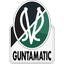 SV Ried