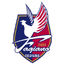 Fagiano Okayama