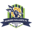 Marumo Gallants