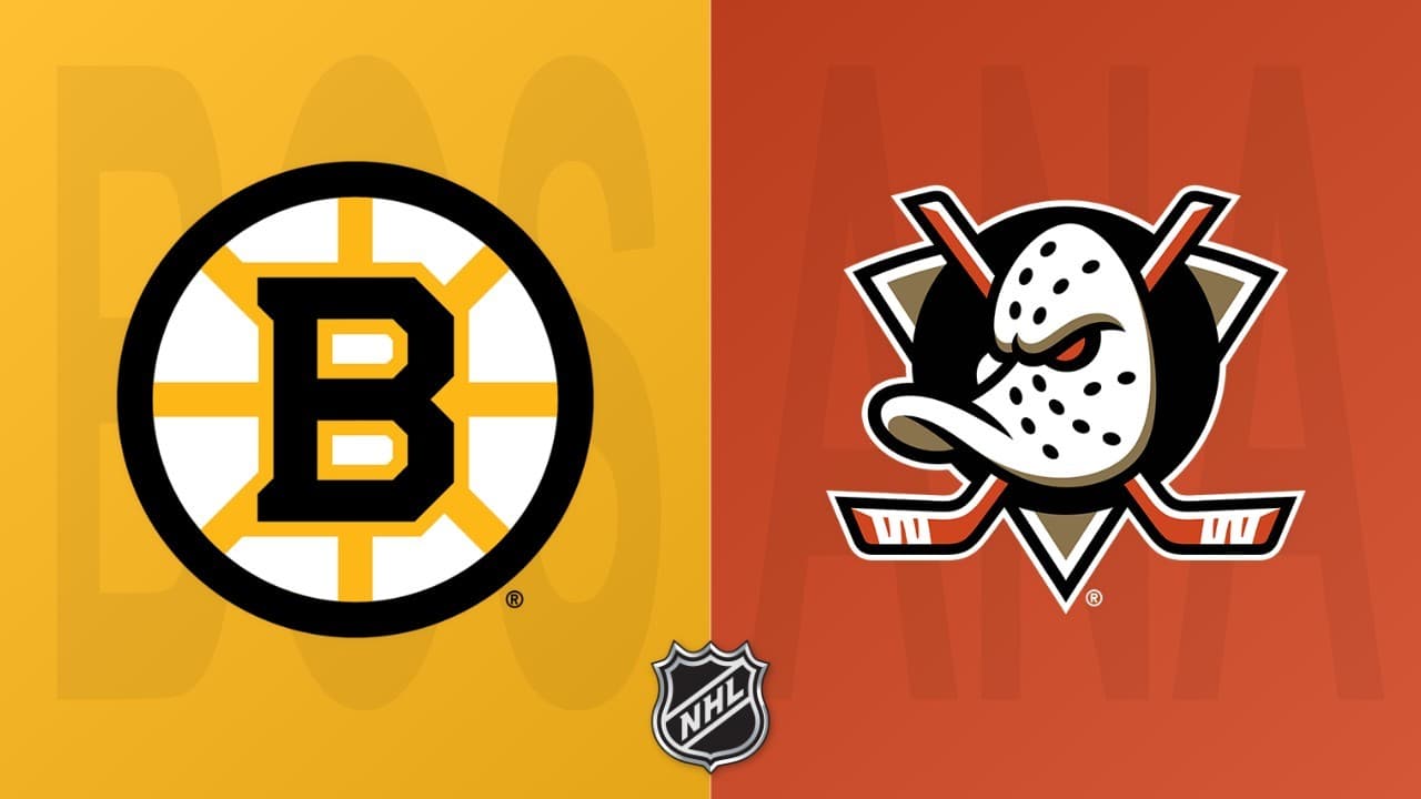 Anaheim Ducks vs Boston Bruins