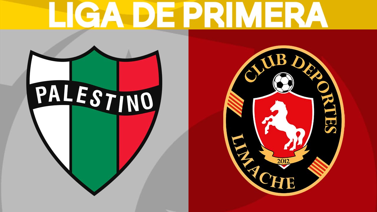 Palestino vs Deportes Limache
